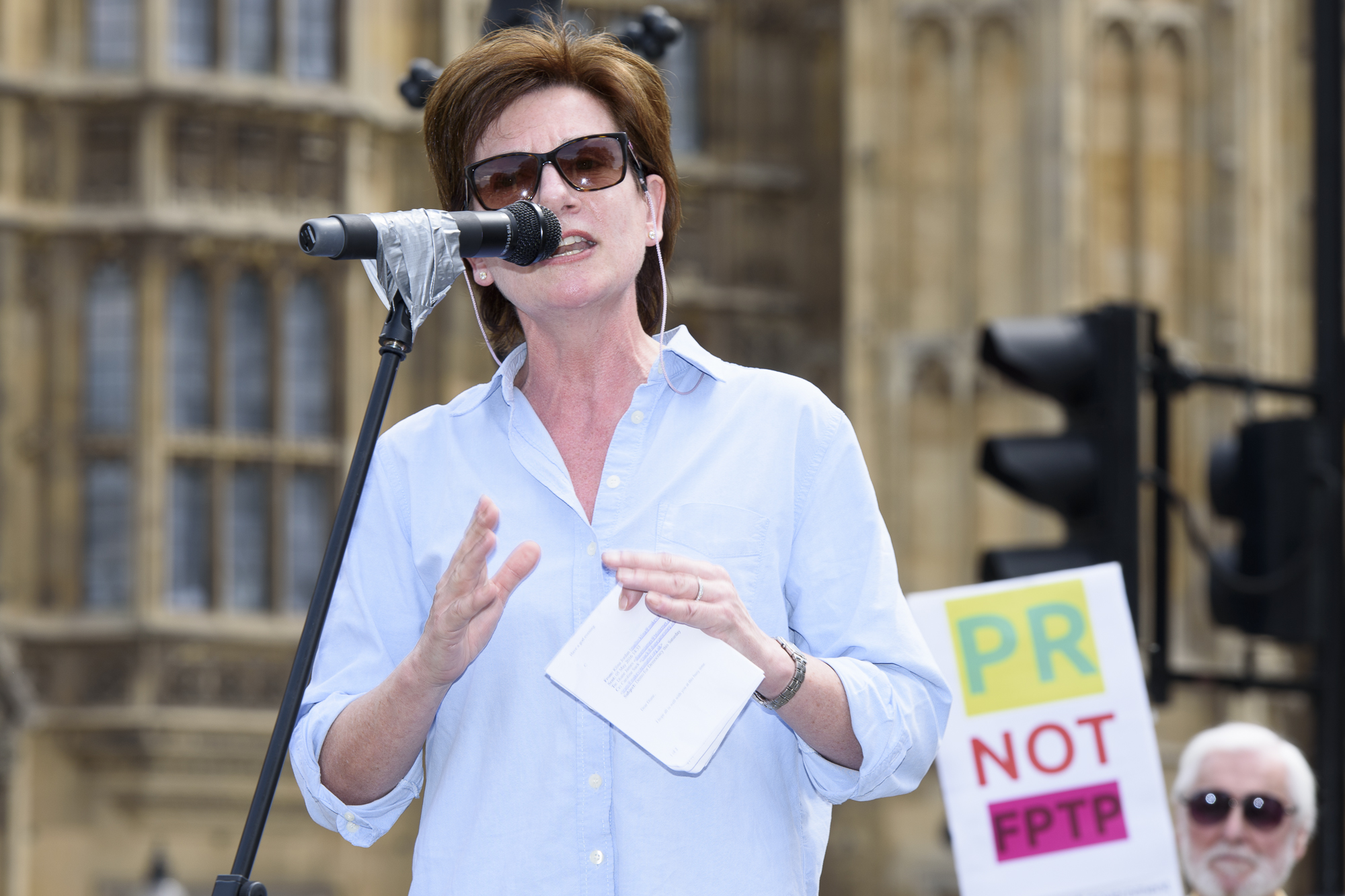 Diane James MEP, UKIP